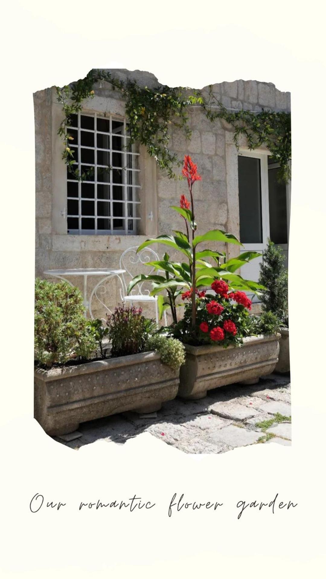Apartments Visit Πέραστ Εξωτερικό φωτογραφία