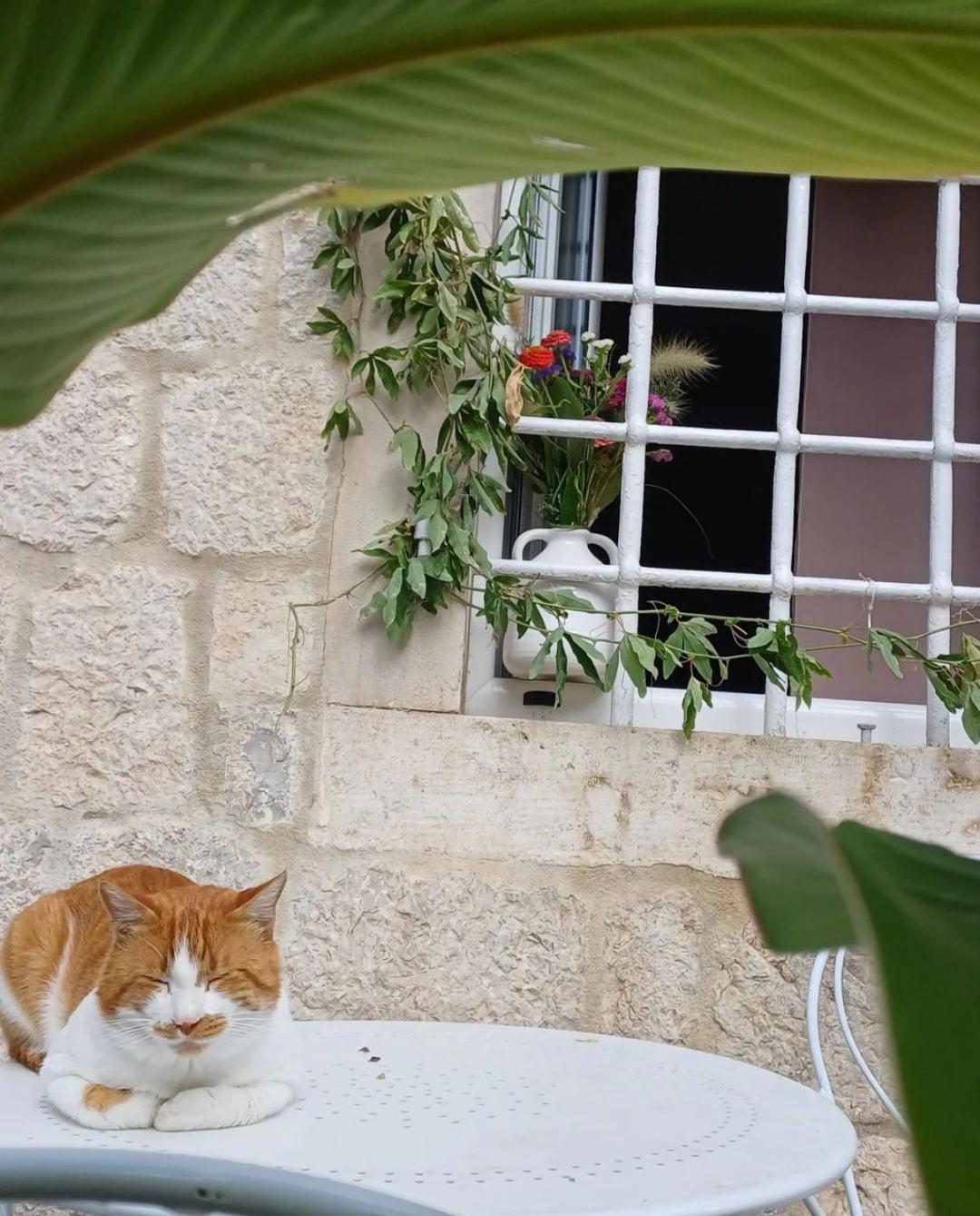 Apartments Visit Πέραστ Εξωτερικό φωτογραφία